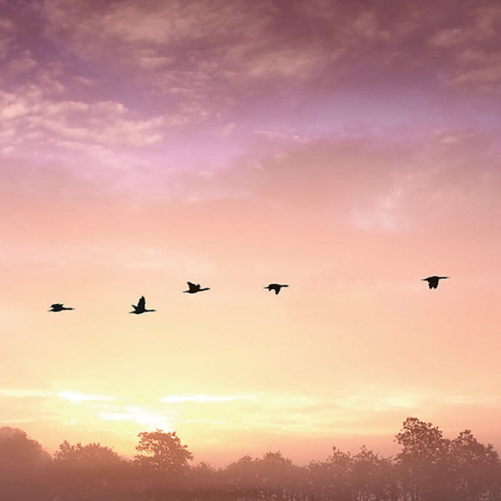 Tilbehør til gravminnet